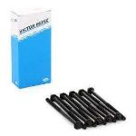 SILINDIR KAPAK SAPLAMA TK. 10LU   - VICTOR REINZ 14-32075-01